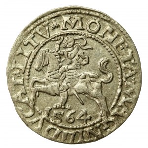Sigismund II Augustus, Half-penny 1564, Vilnius - L/LITV (798)