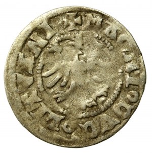 Alexander Jagiellonian, Vilnius half-penny - Renaissance - 8th issue - LITVANI' - very rare (922)