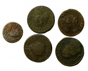 Augustus III Sas, coin set. Total of 5 pieces (3014)