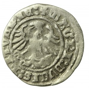 Sigismund I the Old, half-penny 1512, Vilnius (2110)