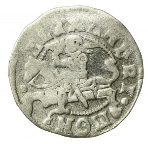 Alexander Jagiellonian, Half-penny of Vilnius - Renaissance - 7th issue (2112)
