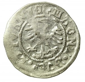 Alexander Jagiellonian, Half-penny of Vilnius - Renaissance - 7th issue (2112)