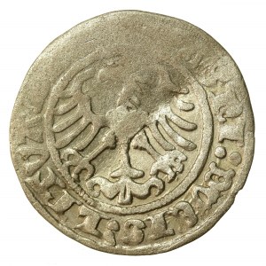 Sigismund I the Old, half-penny, Vilnius (2114)
