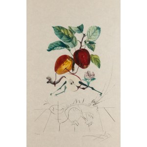 Salvador Dalí (1904 Figueres - 1989 Figueres), Mela drago (Pomme dragon) dalla serie Flordali - Les Fruits , 1969