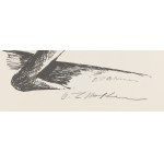 Ossip Zadkine (1890 Smolensk - 1967 Parigi), Euripide, le opere di Eracle (Euripides, Die Arbeiten des Herakles), 1960