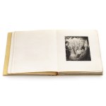 Wladyslaw Jahl (1886 Yaroslavl - 1953 Paris), Don Quichote portfolio, 1951