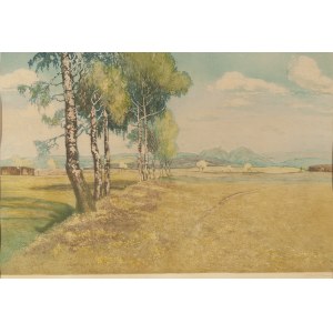 Friedrich Iwan (1889 Kamienna Góra - 1967 Wangen), Landscape with a birch tree
