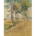 Friedrich Iwan (1889 Kamienna Góra - 1967 Wangen), Landscape with a birch tree