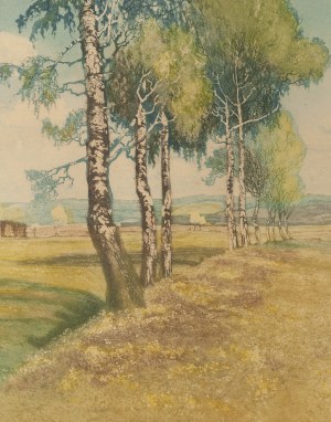 Friedrich Iwan (1889 Kamienna Góra - 1967 Wangen), Pejzaż z brzozą