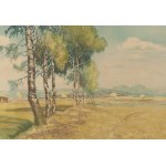Friedrich Iwan (1889 Kamienna Góra - 1967 Wangen), Landscape with a birch tree