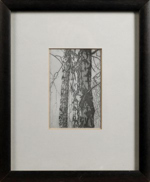 Elżbieta BOCIANOWSKA (ur. 1954), Brzezina