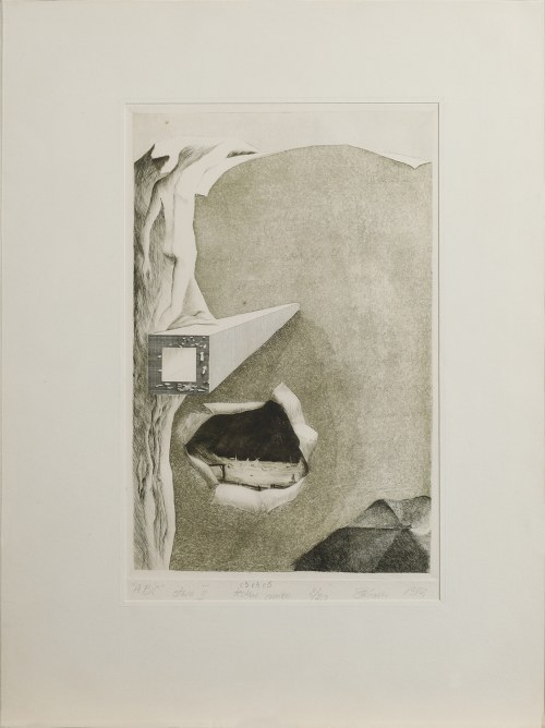 Ewa LESSER (ur. 1953), 