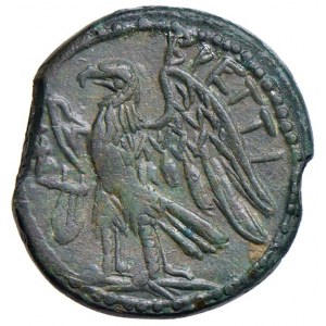 Greek Coins - § BRUTTIUM Brettii - AE 22 mm (approximately 289-...