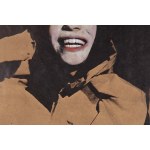 Izabella Gustowska (b. 1948, Poznań), Relative features of similarity XVII, 1982.