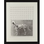 Jan Tarasin (1926 Kalisz - 2009 Warsaw), Dalmatian, 1980/96