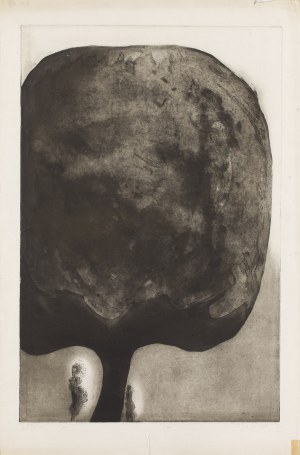 Tadeusz Jackowski (ur. 1936, Bruges), 