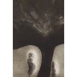 Tadeusz Jackowski (ur. 1936, Bruges), Adam i Ewa, 1963