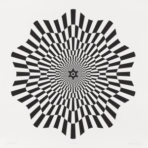 Maurycy Gomulicki (ur. 1969, Warszawa), Supernova, 2020