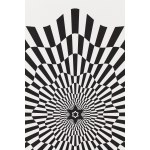 Maurycy Gomulicki (ur. 1969, Warszawa), Supernova, 2020