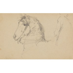 Konstanty Mankowski (1861 Kraków - 1897 Kraków), Head of a horse, 1881