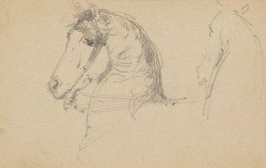 Konstanty Mańkowski (1861 Kraków - 1897 Kraków), Głowa konia, 1881