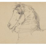 Konstanty Mankowski (1861 Kraków - 1897 Kraków), Head of a horse, 1881