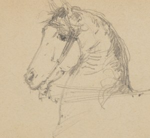 Konstanty Mańkowski (1861 Kraków - 1897 Kraków), Głowa konia, 1881