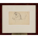 Konstanty Mankowski (1861 Kraków - 1897 Kraków), Head of a horse, 1881