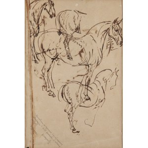 Piotr Michałowski (1800 Krakov - 1855 Krzyżtoporzyce u Krakova), Studium konia (recto) / Skicy koní (verso)