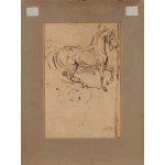 Piotr Michałowski (1800 Krakov - 1855 Krzyżtoporzyce u Krakova), Studium konia (recto) / Skicy koní (verso)