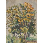 Stanisław Rolicz (1913 Mandżuria - 1997 Sopot), Pejzaż leśny (recto) / Jesienne drzewa (verso), 1942