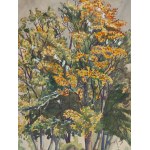 Stanisław Rolicz (1913 Mandżuria - 1997 Sopot), Pejzaż leśny (recto) / Jesienne drzewa (verso), 1942