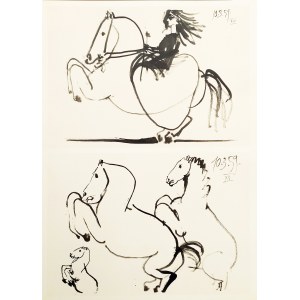 Pablo Picasso (1881 - 1973), Z cyklu Toros y Toreros, 1961