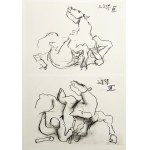 Pablo Picasso (1881 - 1973), From the series Toros y Toreros, 1961