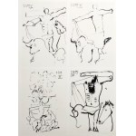 Pablo Picasso (1881 - 1973), Z cyklu Toros y Toreros, 1961
