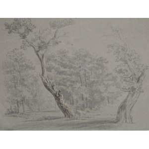 Johann Georg von DILLIS (1759-1841) (?), Forest, 1st half of the 19th century.