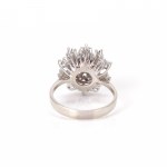 Entourage ring set with diamonds and rubies