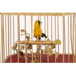 Songbird automaton