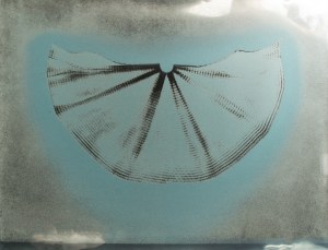 Heinz Mack (1931 Lollar) (F)