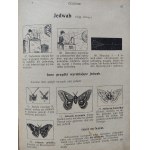 COLOMB G. - NAUKA O RZECZACH W 650 OBRAZKACH, wyd.1904
