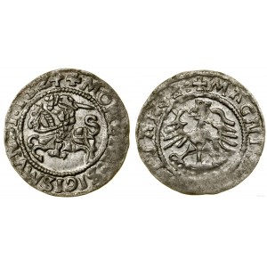 Polsko, půlgroš, 1524, Vilnius