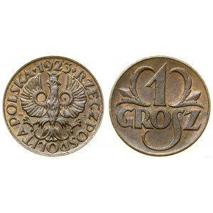 Polska, 1 grosz, 1923, Kings Norton