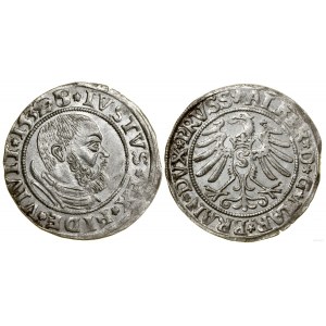 Prusy Książęce (1525-1657), grosz, 1532, Królewiec