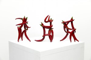 Paweł Czekański, Chilli, 2025