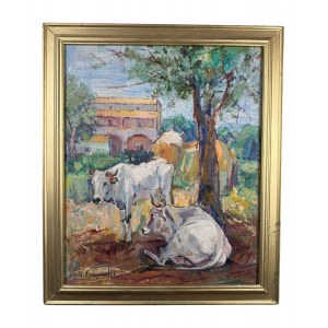 CANZANELLA, Stádo - Canzanella