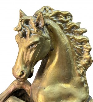 Rearing horse