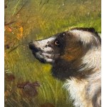 ANONIMO, Dogs