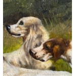 ANONIMO, Dogs