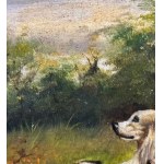 ANONIMO, Dogs
