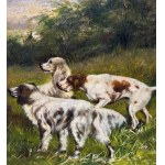 ANONIMO, Dogs